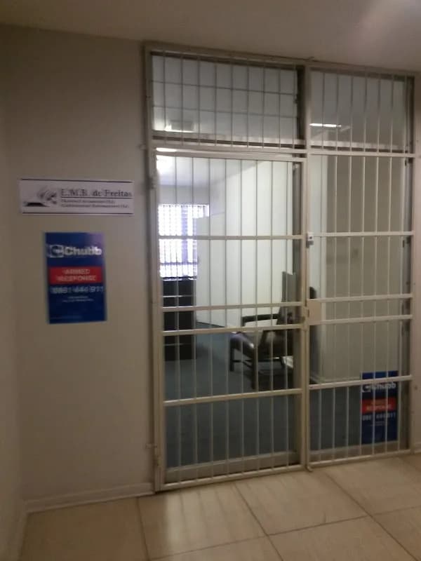 E.M.B. De Freitas Chartered Accountants in Riebeeckstad