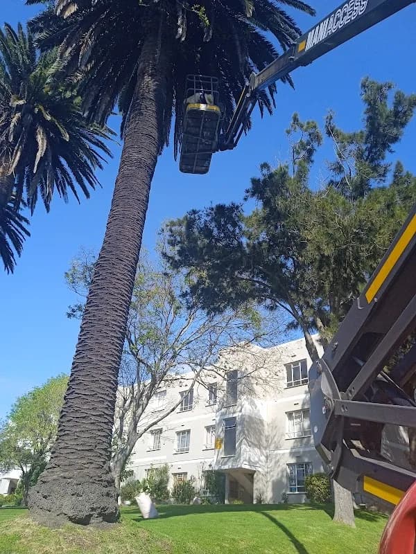 Straton Court in Wynberg