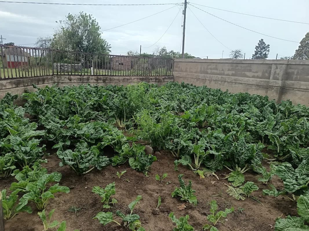KwaSikhonde Farming n Groceries in Osizweni
