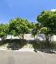 Andrea Olivier Occupational Therapist in Durbanville