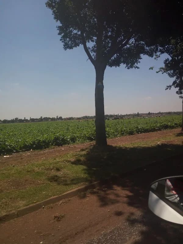 Costa Farm in Alberton