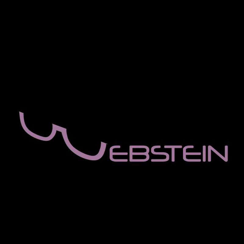 Webstein Digital Services in Springs