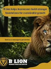 B LION BUSINESS CONSULTING SERVICES (PTY) LTD in Wonderboom