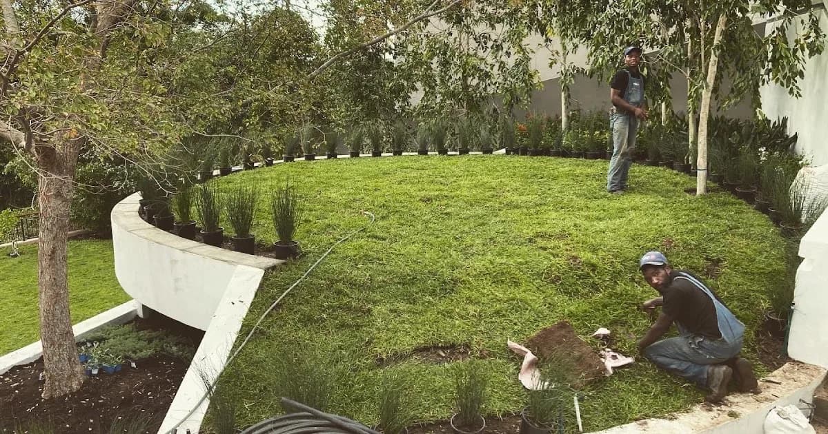 Natures Blueprint Horticultural Group in Gardens