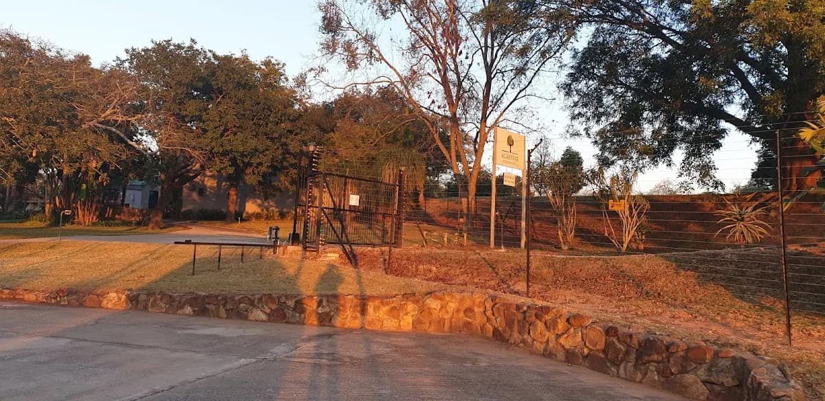 Agristar Macadamias (Pty) Ltd in Hazyview