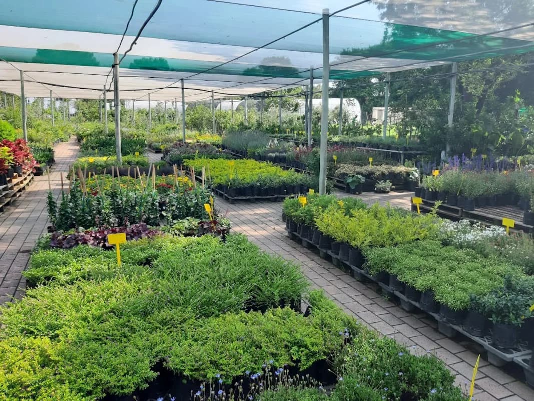The Farm Nursery in Fourways