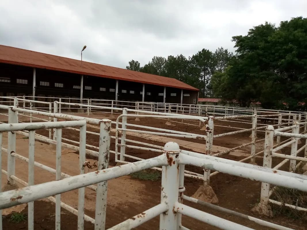 ARC Animal Production. in Irene