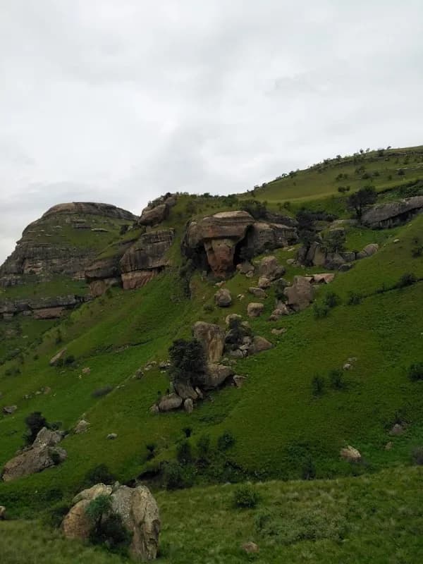 Reitumetse Agri Projects Cooperative in Tshiame