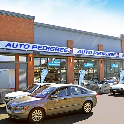 Auto Pedigree Polokwane North in Bendor