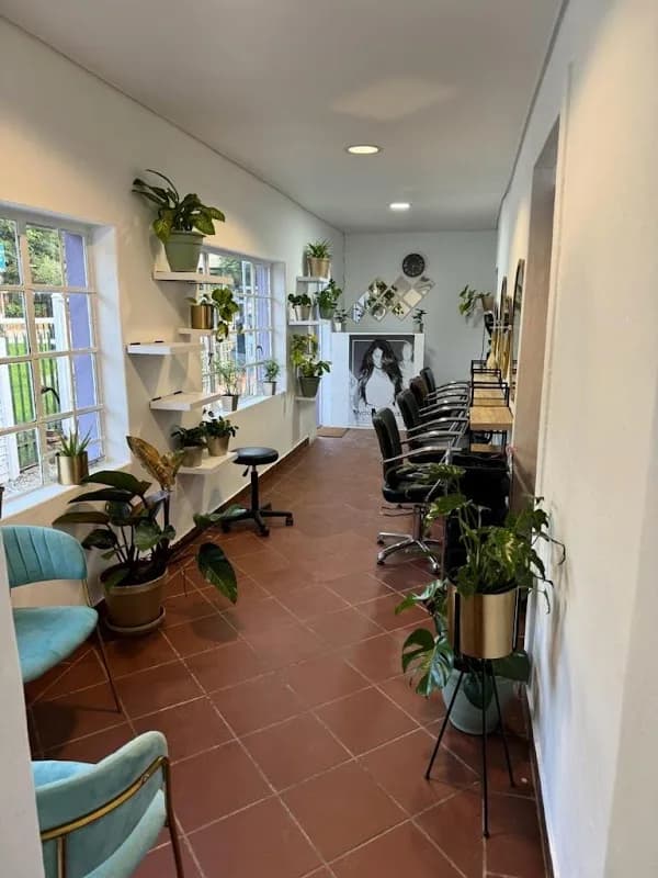 Just Hair Company in Haenertsburg