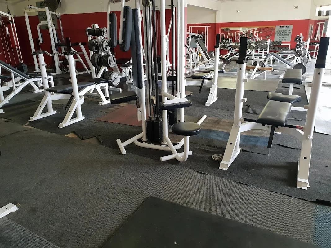Mikes Gym in Northdale